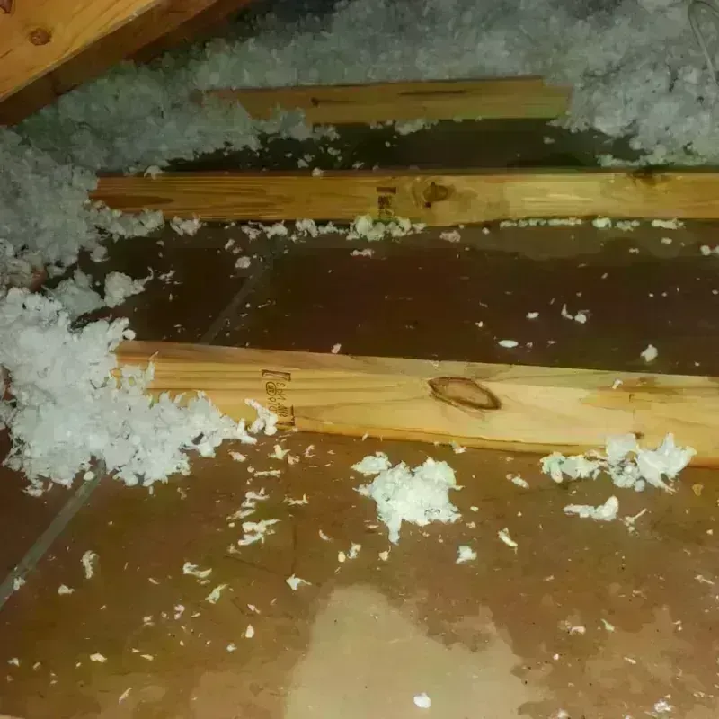 Attic Water Damage in Hebron, IN